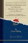 Victor Uhlig - Beiträge zur Paläontologie und Geologie Österreich-Ungarns und des Orients, Vol. 20