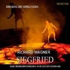 Detlev Eisinger - Richard Wagner: Siegfried, 2 Audio-CDs (Hörbuch)