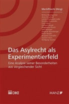 Franz Merli, Magdalena Pöschl - Das Asylrecht als Experimentierfeld