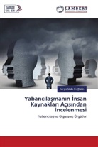 Nergis Melis Ulu¿tekin, Nergis Melis Ulugtekin - Yabanc lasman n nsan Kaynaklar Aç s ndan ncelenmesi