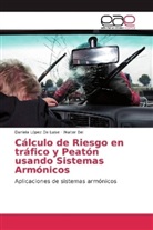Walter Bel, Daniel López De Luise, Daniela López De Luise - Cálculo de Riesgo en tráfico y Peatón usando Sistemas Armónicos