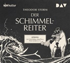 Theodor Storm, Gerd Baltus, Peter Jordan, Jörg Pleva, u.v.a. - Der Schimmelreiter, 1 Audio-CD (Audio book)