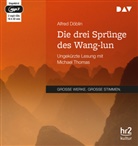 Alfred Döblin, Michael Thomas - Die drei Sprünge des Wang-lun, 2 Audio-CD, 2 MP3 (Audio book)