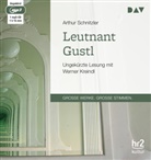 Arthur Schnitzler, Werner Kreindl - Leutnant Gustl, 1 Audio-CD, 1 MP3 (Audio book)