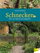 Arthur Schnitzer - Schnecken