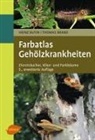 Thomas Brand, Heinz Butin - Gehölzkrankheiten