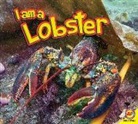 Jared Siemens - I Am a Lobster