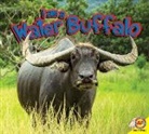 Piper Whelan - I Am a Water Buffalo