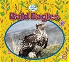 Heather Kissock - BALD EAGLES