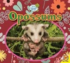 Heather Kissock - OPOSSUMS