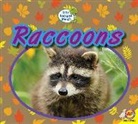 Heather Kissock - RACCOONS