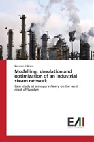 Riccardo Subiaco - Modelling, simulation and optimization of an industrial steam network
