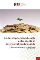 Romain Kroës - Le développement durable entre réalité et interprétation du monde