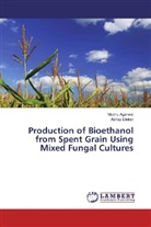 Madh Agarwal, Madhu Agarwal, Abhay Dinker - Production of Bioethanol from Spent Grain Using Mixed Fungal Cultures