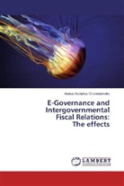 Anoruo Adolphus Chukwuemeka - E-Governance and Intergovernmental Fiscal Relations: The effects