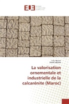 Raouf Jabrane, Lail Mesrar, Laila Mesrar - La valorisation ornementale et industrielle de la calcarénite (Maroc)