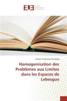 Gaetan Tchakounte Nandong - Homogenisation des Problèmes aux Limites dans les Espaces de Lebesgue