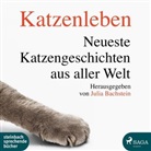 Beate Rysopp, Juli Bachstein, Julia Bachstein - Katzenleben, 1 MP3-CD (Hörbuch)