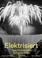 Steven Schneider - Elektrisiert