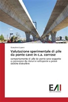 Gianpiero Lepore - Valutazione sperimentale di pile da ponte cave in c.a. corrose