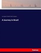 Elizabeth Cabot Cary Agassiz, Loui Agassiz, Louis Agassiz - A Journey in Brazil