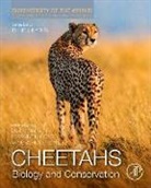 Philip J. (EDT)/ Marker Nyhus, Lorraine Boast, Lorraine K. Boast, Laurie Marker, Philip Nyhus, Philip J. Nyhus... - Cheetahs: Biology and Conservation