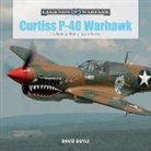 David Doyle - Curtiss P-40 Warhawk