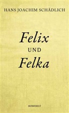 Hans Joachim Schädlich - Felix und Felka