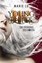Marie Lu, Loewe Jugendbücher - Young Elites (Band 2) - Das Bündnis der Rosen