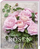 Jane Eastoe, Georgianna Lane, Georgianna Lane, Georgianna Lane - Vintage Rosen