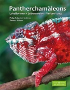 Thomas Althaus, Philip-Sebastian Gehring, Philip-Sebastian (Dr. Gehring, Philip-Sebastian (Dr.) Gehring - Pantherchamäleons