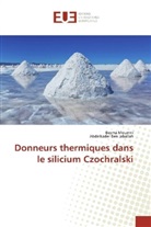 Abdelkader Ben Jaballah, Besm Moumni, Besma Moumni - Donneurs thermiques dans le silicium Czochralski