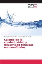Osvaldo Delgado Vasallo, Rodne Hechavarría Díaz, Rodney Hechavarría Díaz - Cálculo de la conductividad y difusividad térmicas en nanofluidos