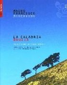 Mauro F. Minervino - La Calabria brucia