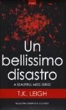 T. K. Leigh - Un bellissimo disastro. A beautiful mess series