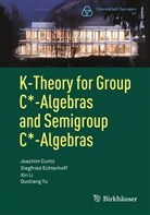 Joachi Cuntz, Joachim Cuntz, Siegfrie Echterhoff, Siegfried Echterhoff, Xin Li, Xin et al Li... - K-Theory for Group C*-Algebras and Semigroup C*-Algebras; .