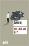Emiliano Gambelli - Chesapeake bay