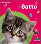 Delphine Grinberg, C. Modeste - Il gatto