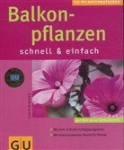 Joachim Mayer - Balkonpflanzen schnell & einfach