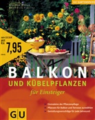 Joachim Mayer, Friedrich Strauß, Friedrich Strauß - Balkon- und Kübelpflanzen für Einsteiger