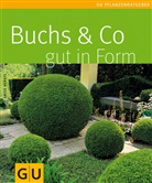 Antje Verstl - Buchs & Co. gut in Form