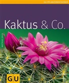 Matthias Uhlig - Kaktus & Co.