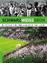 Markus Aretz, Michae Lessenich, Michael Lessenich, Matthia Rech, Matthias Rech - SCHWARZWEISSGRÜN