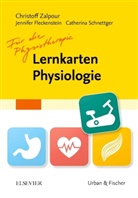 Jennife Fleckenstein, Jennifer Fleckenstein, Schnettg, Christof Zalpour, Christoff Zalpour - Lernkarten Physiologie für die Physiotherapie