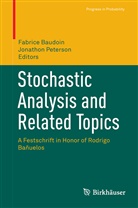 Fabric Baudoin, Fabrice Baudoin, PETERSON, Peterson, Jonathon Peterson - Stochastic Analysis and Related Topics