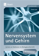 Erwin Graf - Nervensystem und Gehirn