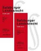 Ferdinan Faber, Ferdinand Faber, Leitner, Barbara Leitner - Salzburger Landesrecht 2017
