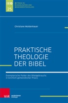 Christiane Moldenhauer, Michael Herbst, Jör Ohlemacher, Jörg Ohlemacher, J Zimmermann, Johannes Zimmermann - Praktische Bibeltheologie