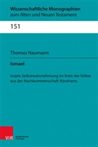 Thomas Naumann, Cilliers Breytenbach, Marti Leuenberger, Martin Leuenberger, Schn, Johannes Schnocks... - Ismael