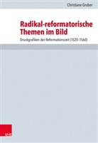 Christiane Gruber, Volker Henning Drecoll, Volke Henning Drecoll, Volker Henning Drecoll, Leppin, Leppin... - Radikal-reformatorische Themen im Bild